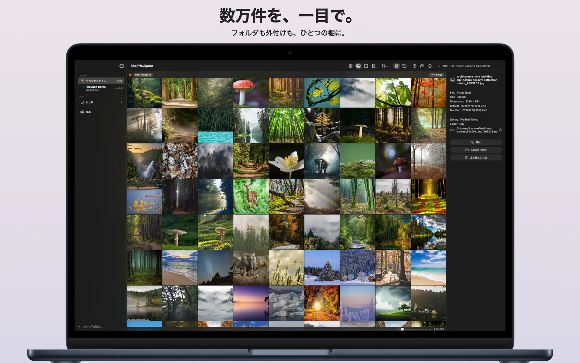 ShelfNavigator のグリッド表示と情報パネル