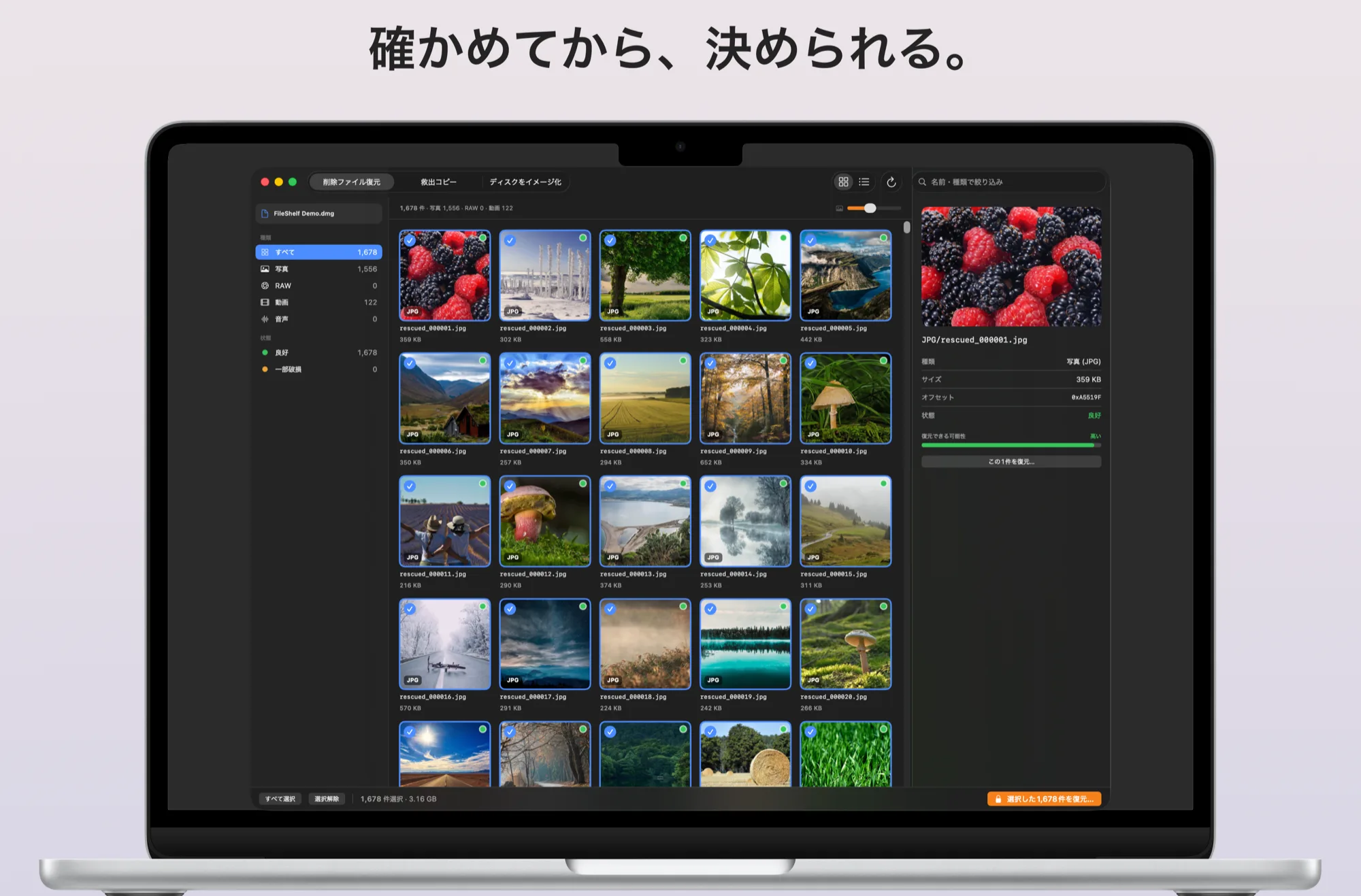 結果の画面。サムネイルで中身を確認してから復元できる